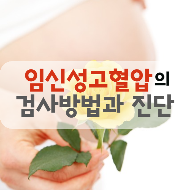 임신성고혈압의 검사방법과 진단