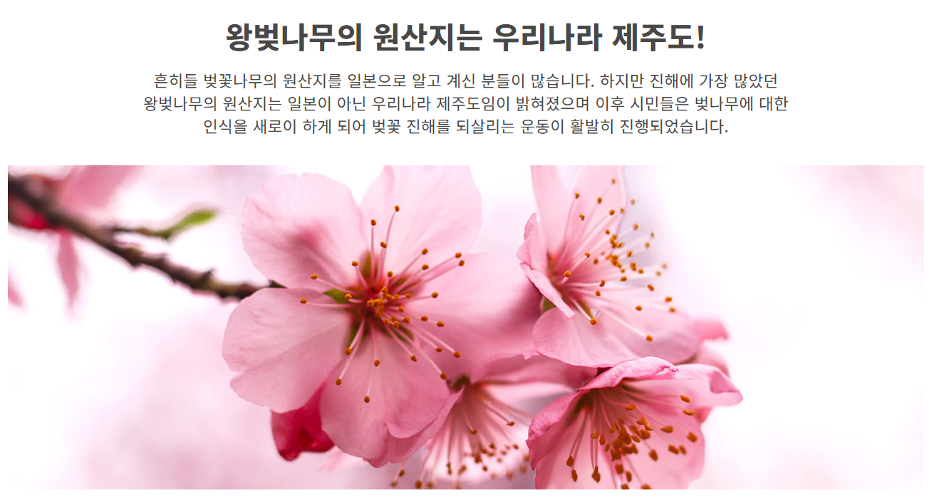 진해 군항제: 주차장 추천, 벚꽃명소, 이벤트, 볼거리, 맛집, 가볼만한곳, 드라이브