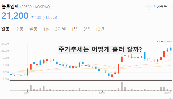 위고비 관련주 대장주 TOP10