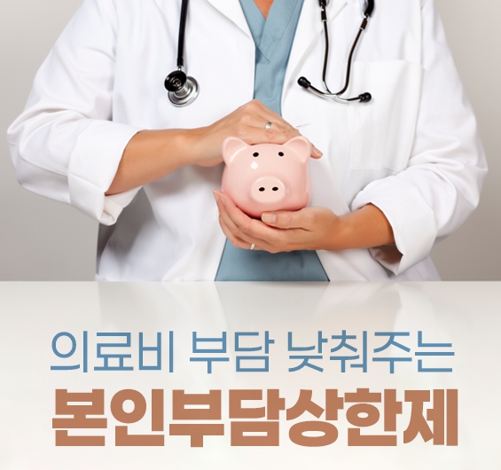 건강보험 본인부담상한제