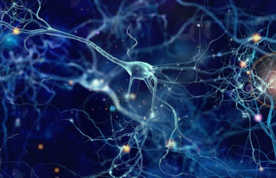 제2형 당뇨병과 제1형 당뇨병, 차이점과 관리법