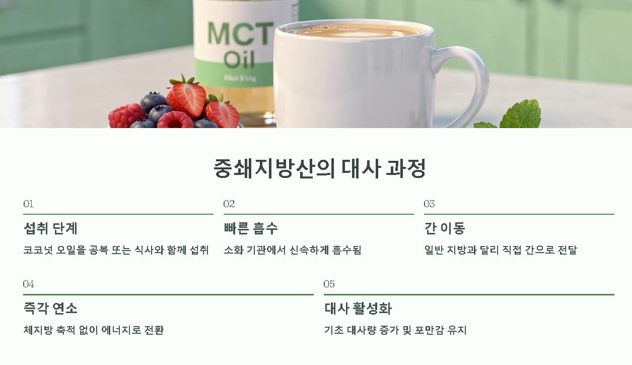 코코넛오일 효능