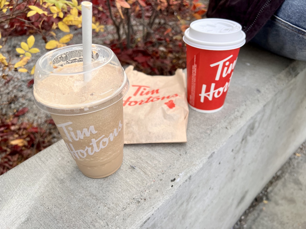 팀홀튼 메뉴. 아이스캡, 더블더블, 그리고 도넛