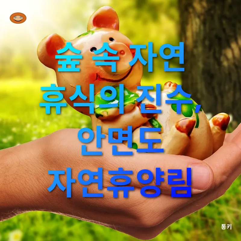 휴양림 예약의 행운_1