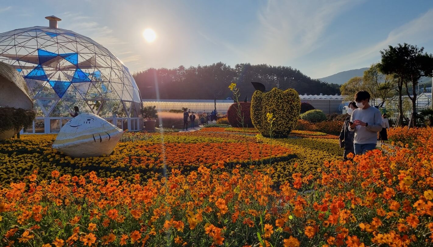 전국 가을축제 일정