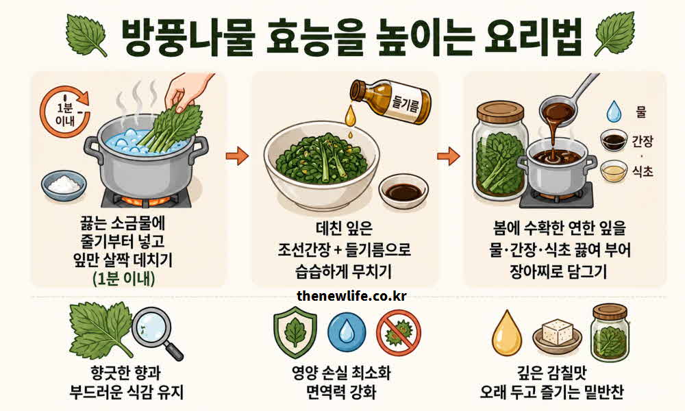 방풍나물 효능 높이는 요리법