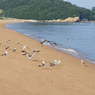 여름 전라도 가볼만한 여행지 BEST 10