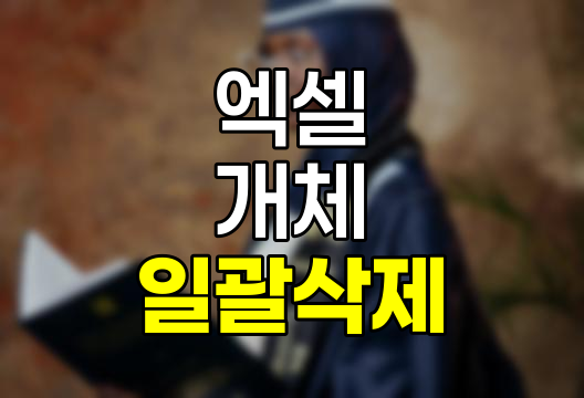 엑셀 체크박스, 그림 일괄 삭제 방법 완벽 정리