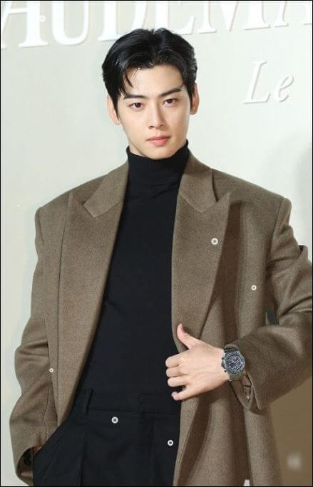 차은우프로필입대탈세