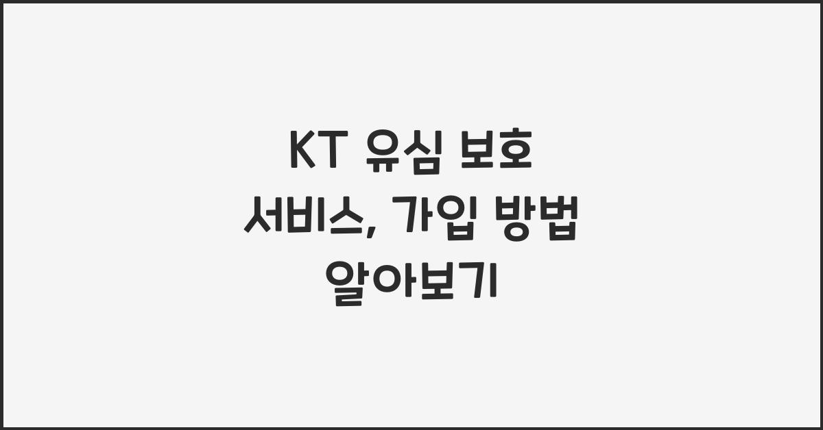 kt 유심 보호