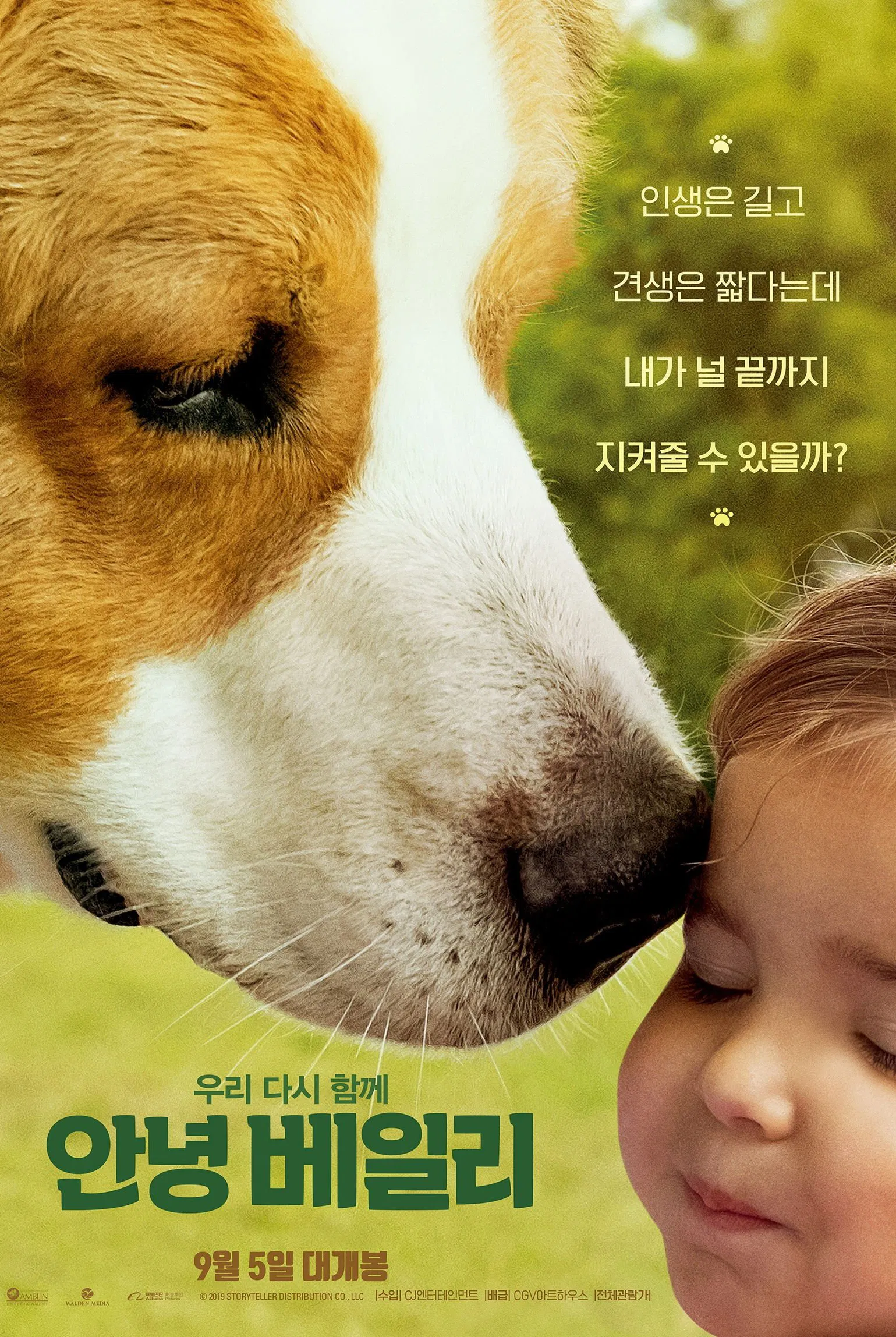 영화 안녕 베일리 포스터