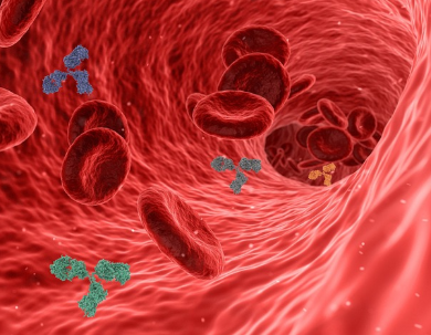 당신의 혈관 나이는 몇 살? – 고혈압과 혈관 건강 관리법