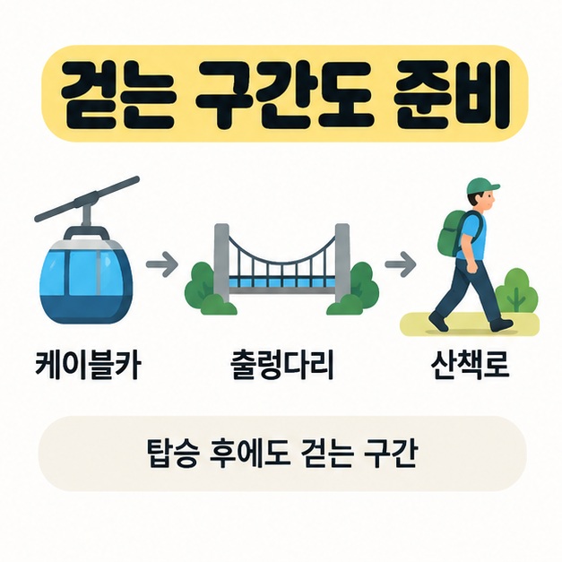 케이블카와 출렁다리, 산책로를 화살표로 연결해 탑승 후에도 걷는 구간이 있음을 알리는 도식