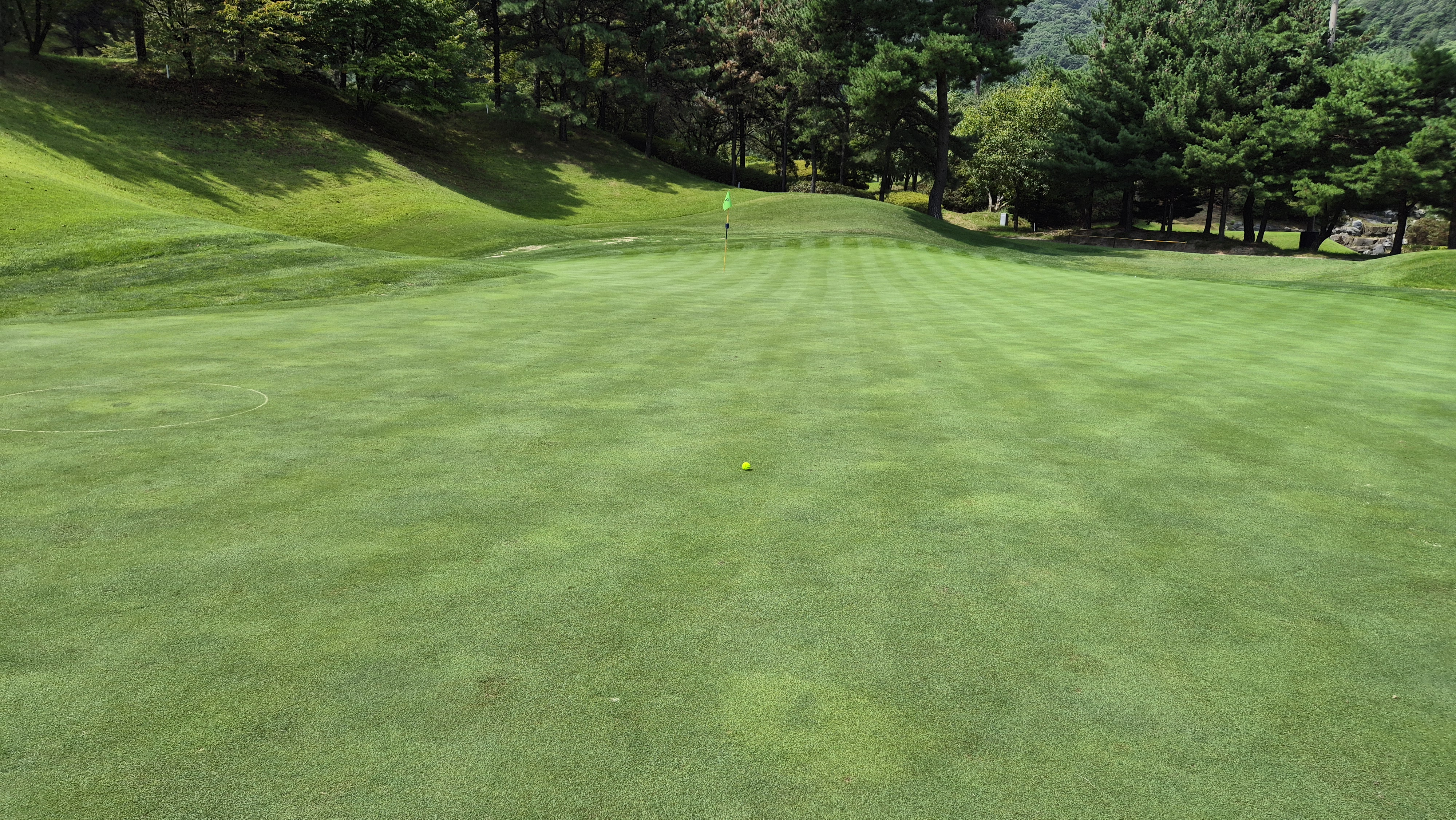 골프존카운티 천안 라운드 후기