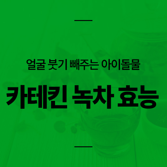 녹차 카테킨 효능