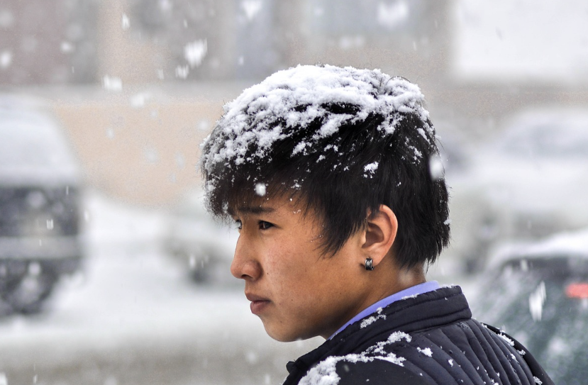 대설시행동요령