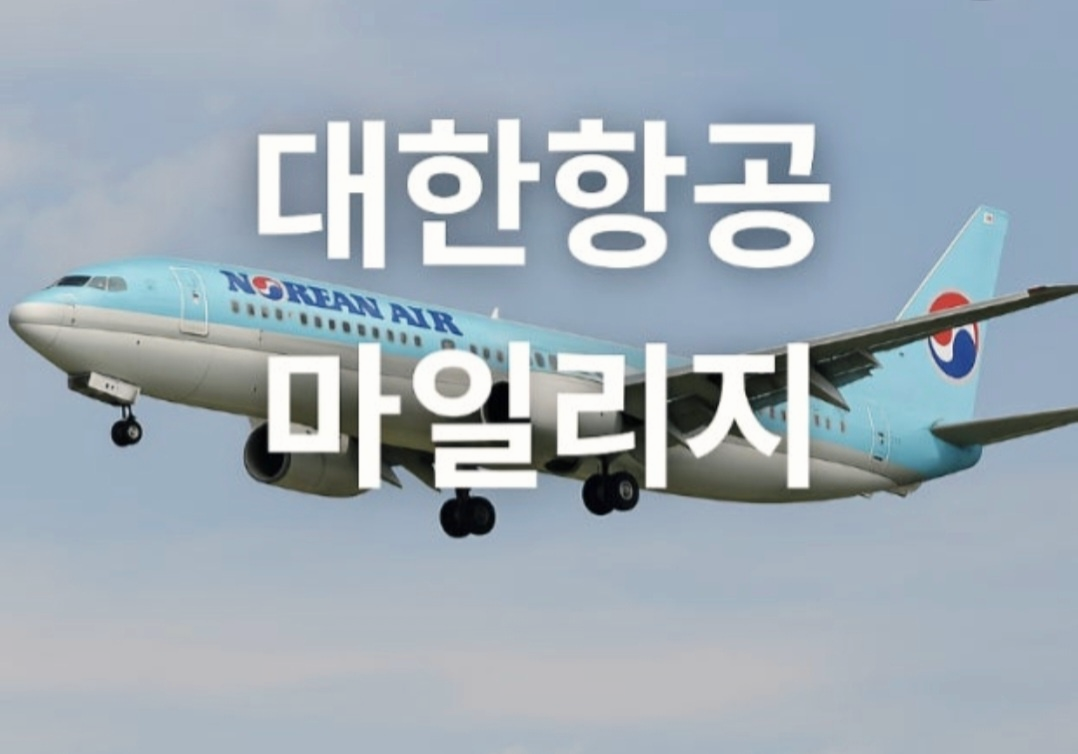 대한항공 마일리지 홍보사진