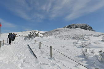 한라산 백록샘 개방! 관람 방법&middot;예약 꿀팁 총정리