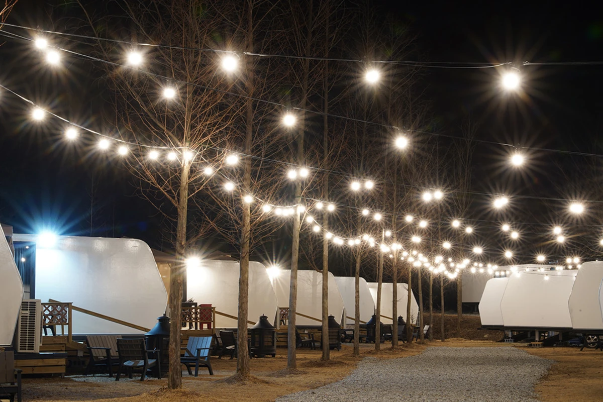 피노키오숲 - 야경