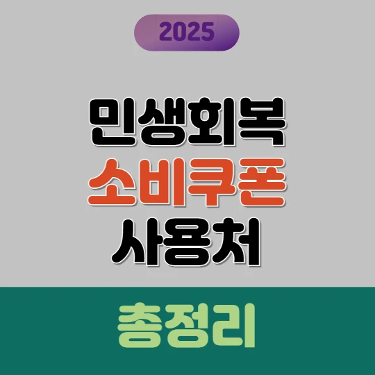 민생회복 소비쿠폰 사용처 총정리 2025