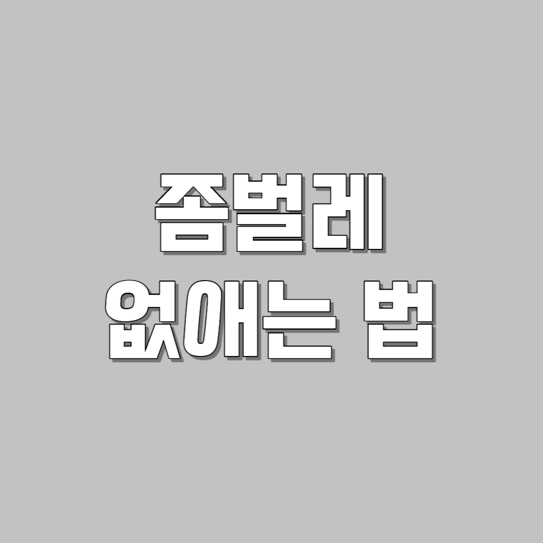 좀벌레 퇴치법
