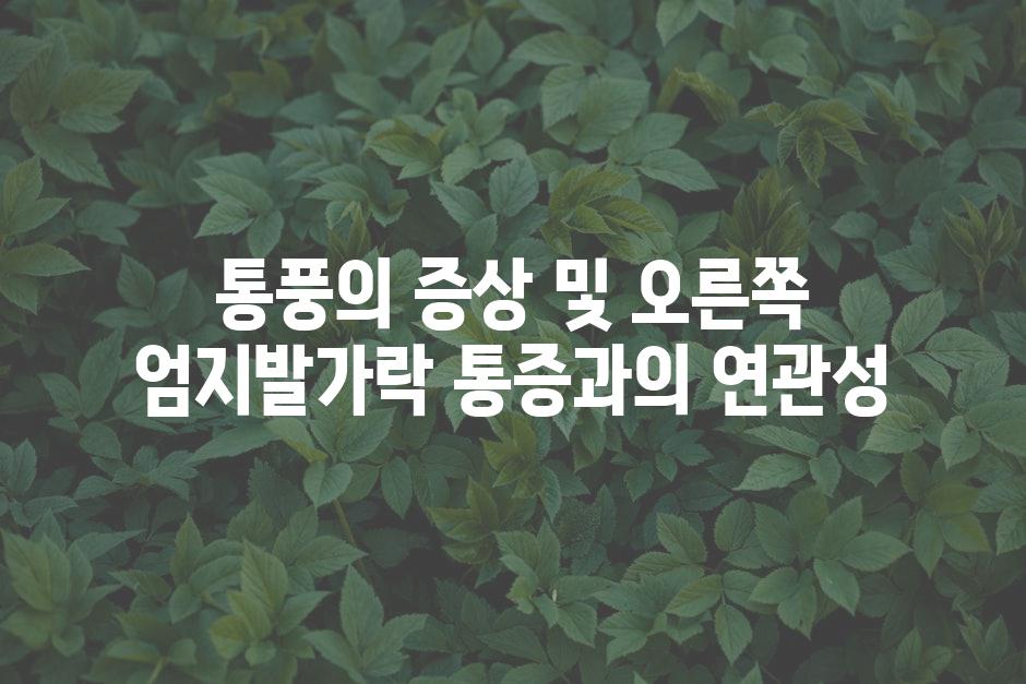 통풍의 증상 및 오른쪽 엄지발가락 통증과의 연관성