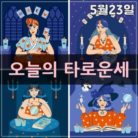 오늘의타로