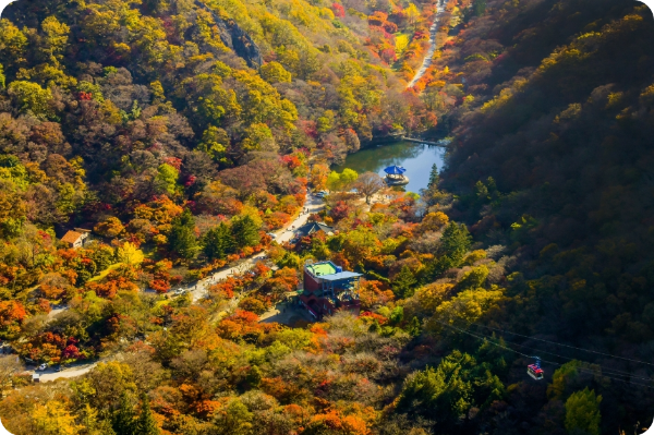 내장산 우화정 이미지/ 출처: 대한민국 구석구석