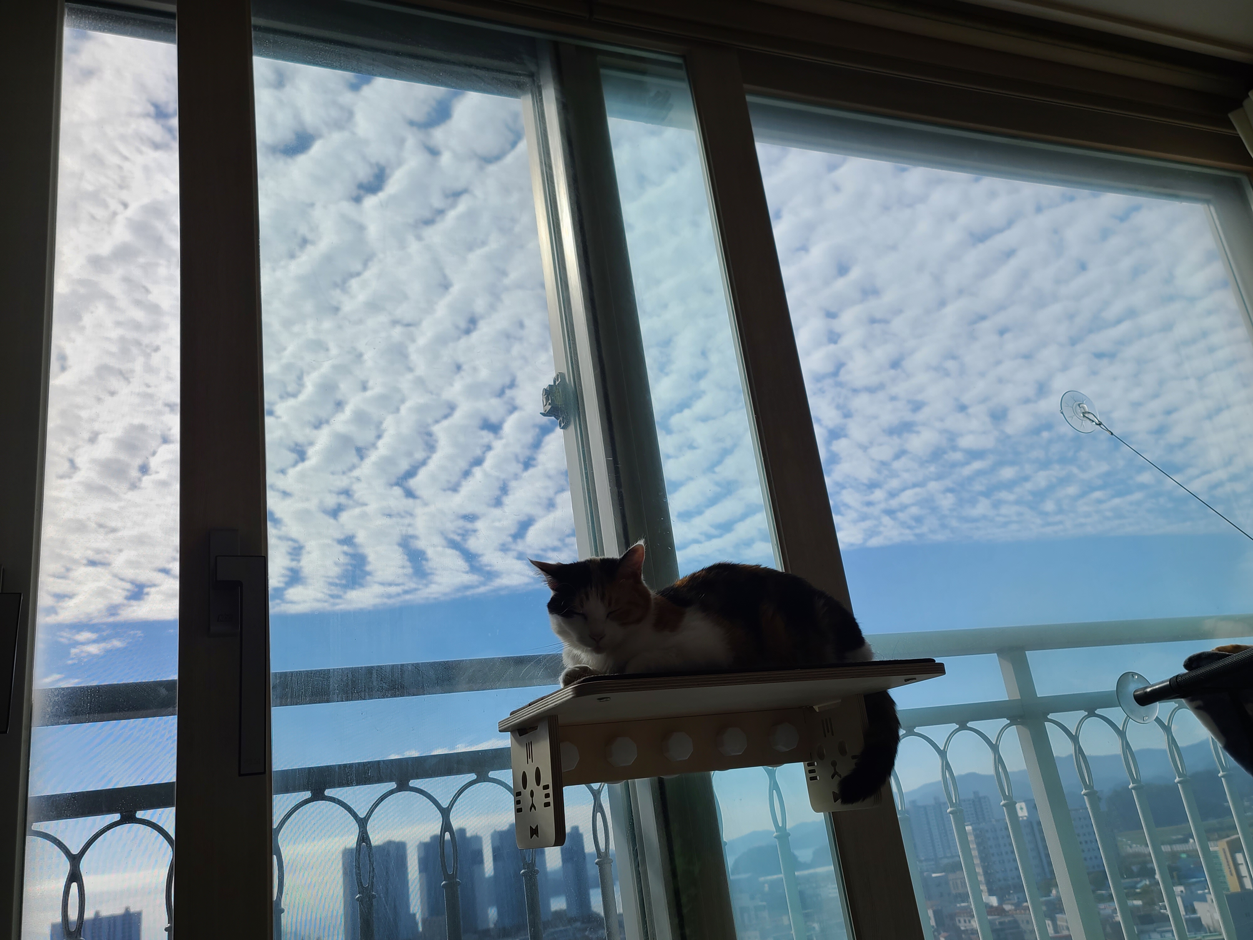 사차원 요미의 짧고 귀여운 이야기들