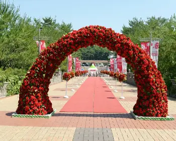 울산대공원 장미축제_27