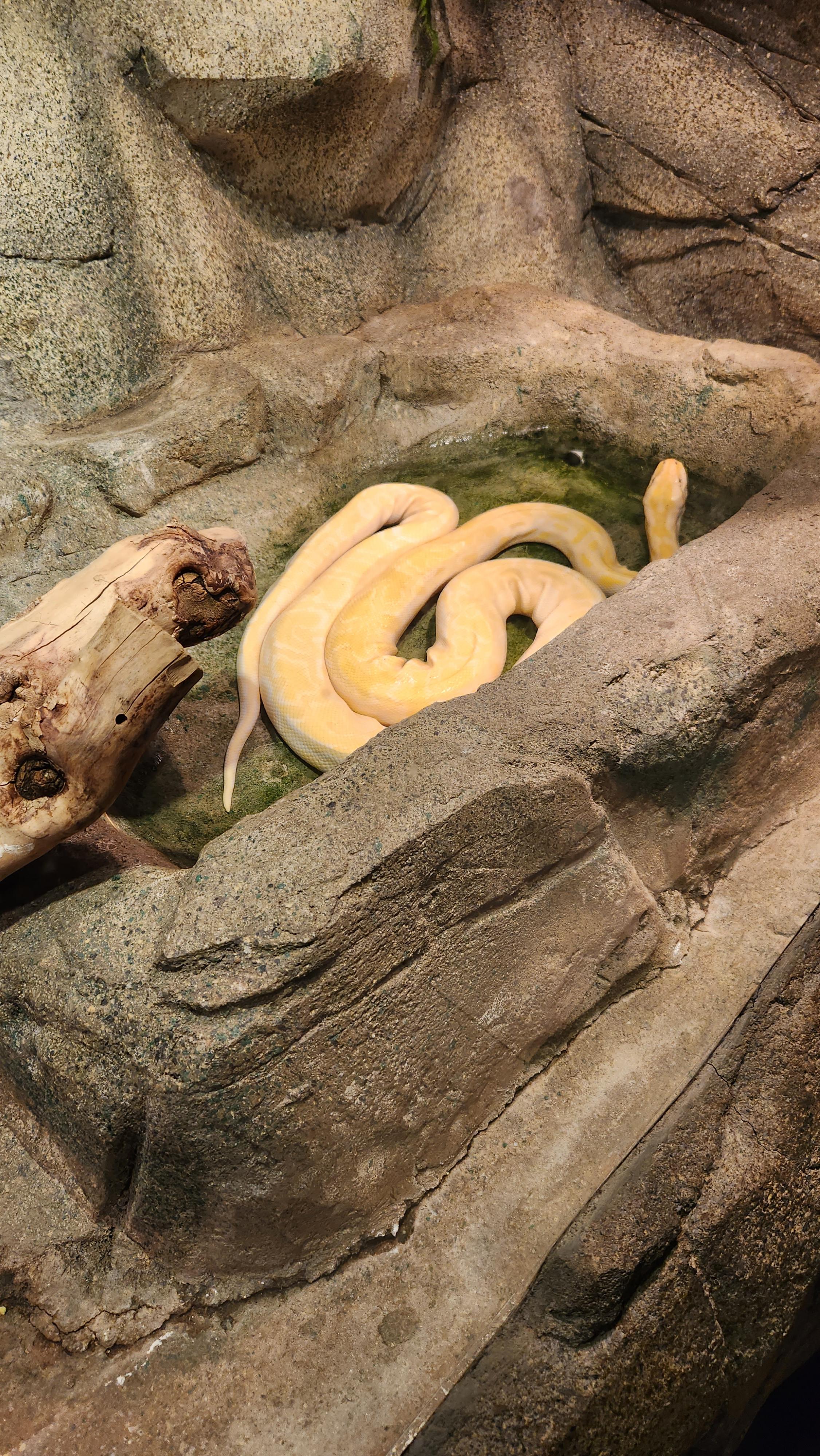 대구-네이처파크