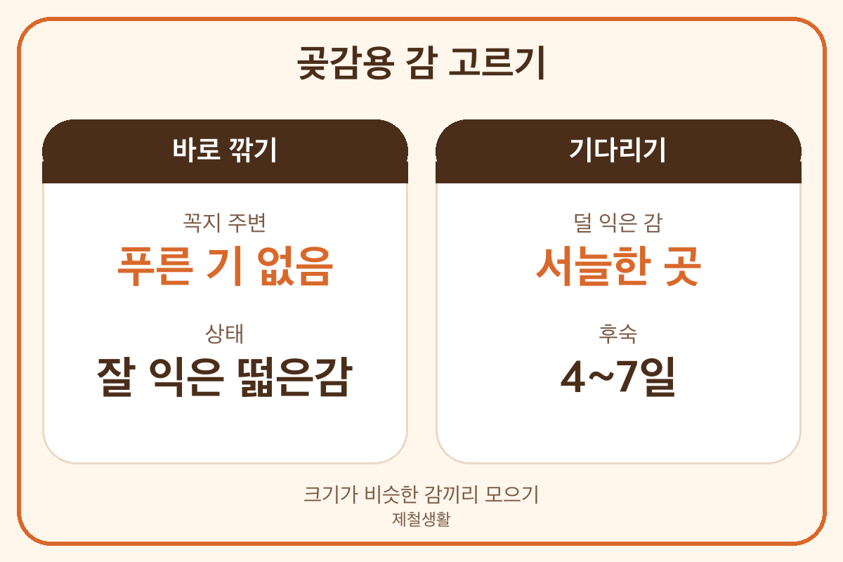 곶감용 떫은감 고르기 꼭지 푸른기 후숙 4~7일