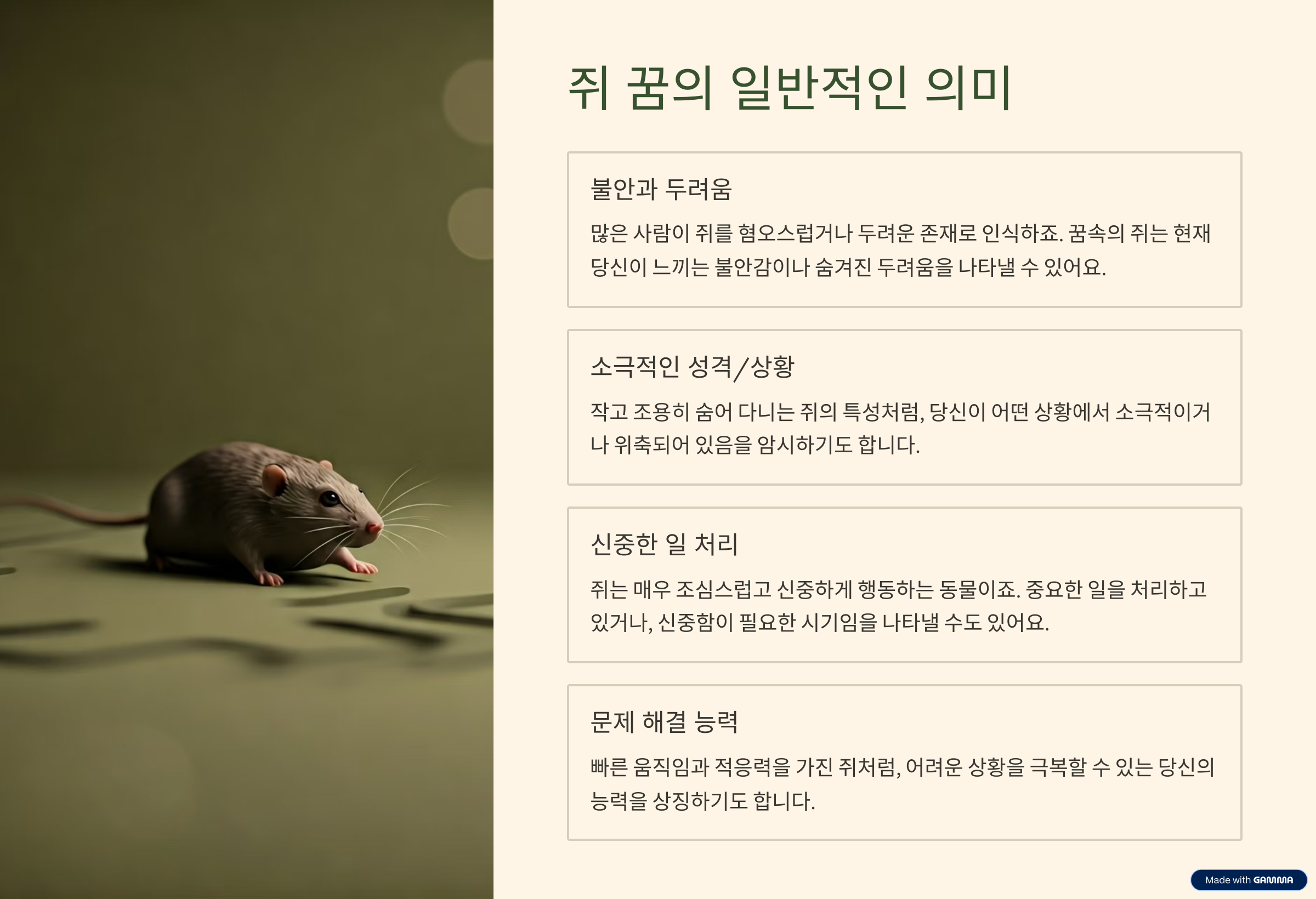 재물운 상승? 구설수? 쥐 꿈 해몽 핵심 의미 