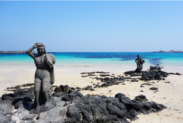 2024년 제주도 핫한 여행지 Best 10