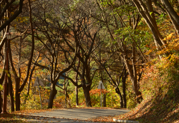 청양 가볼만한곳 베스트10