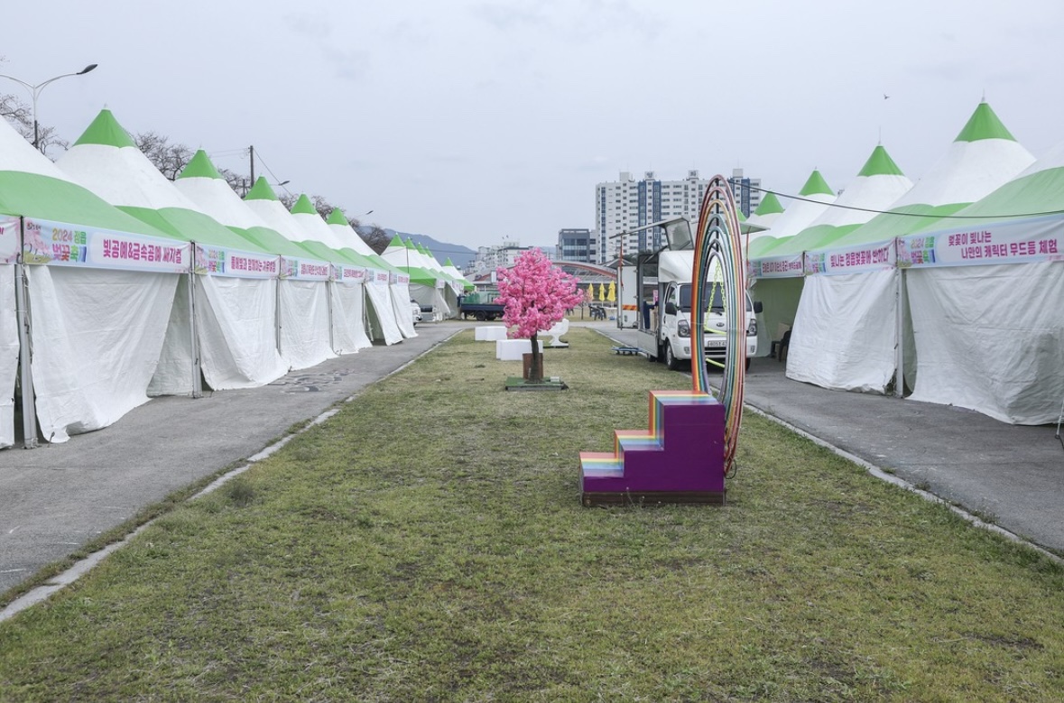 정읍 벚꽃 축제