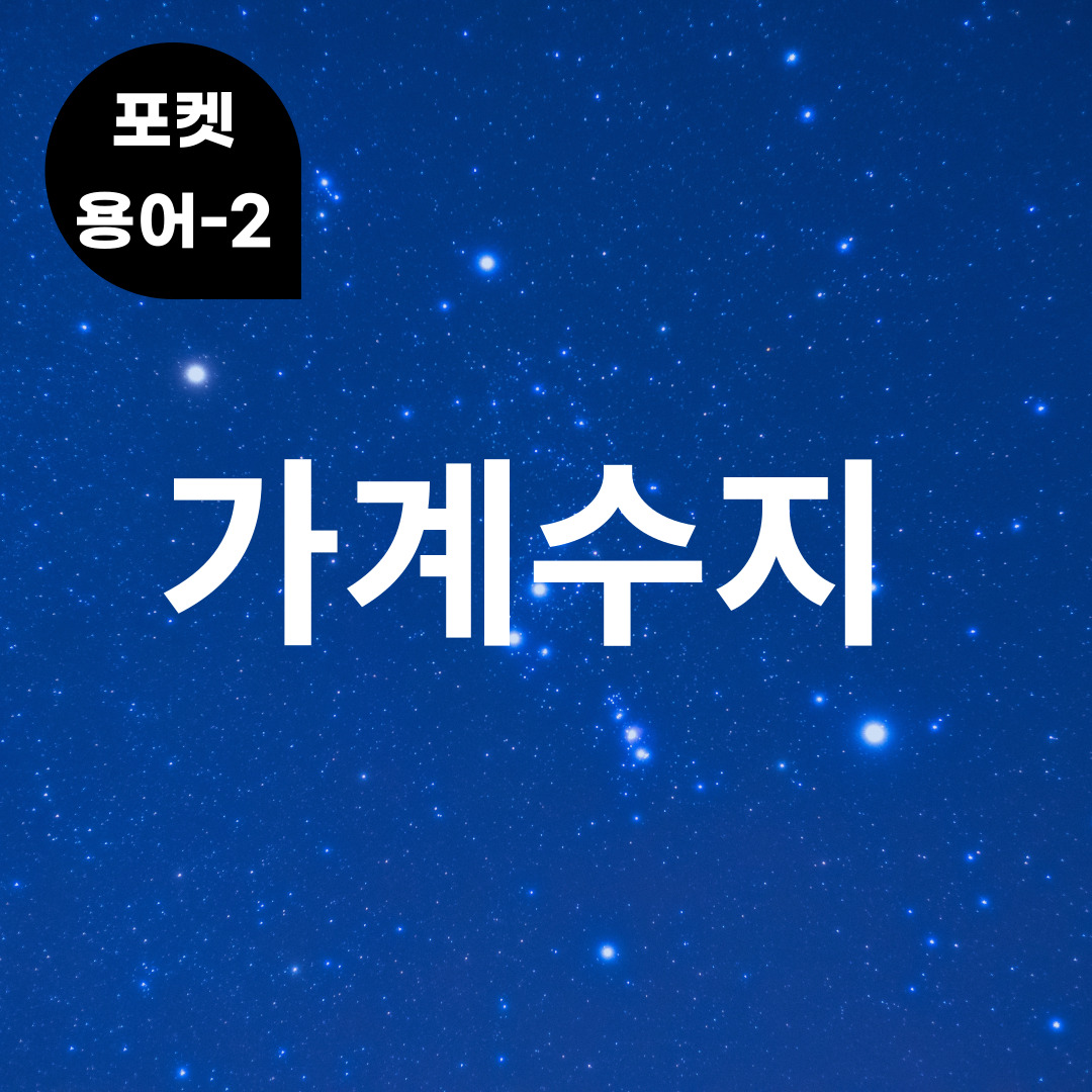 [포켓용어-2] 가계수지는 무엇?