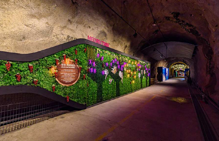 무주 머루와인동굴