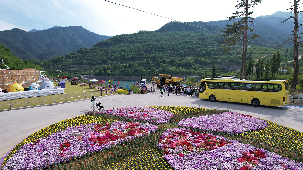 2025 동해 무릉별유천지 라벤더축제 총정리! 일정부터 포토존, 입장료까지(6.14~22)