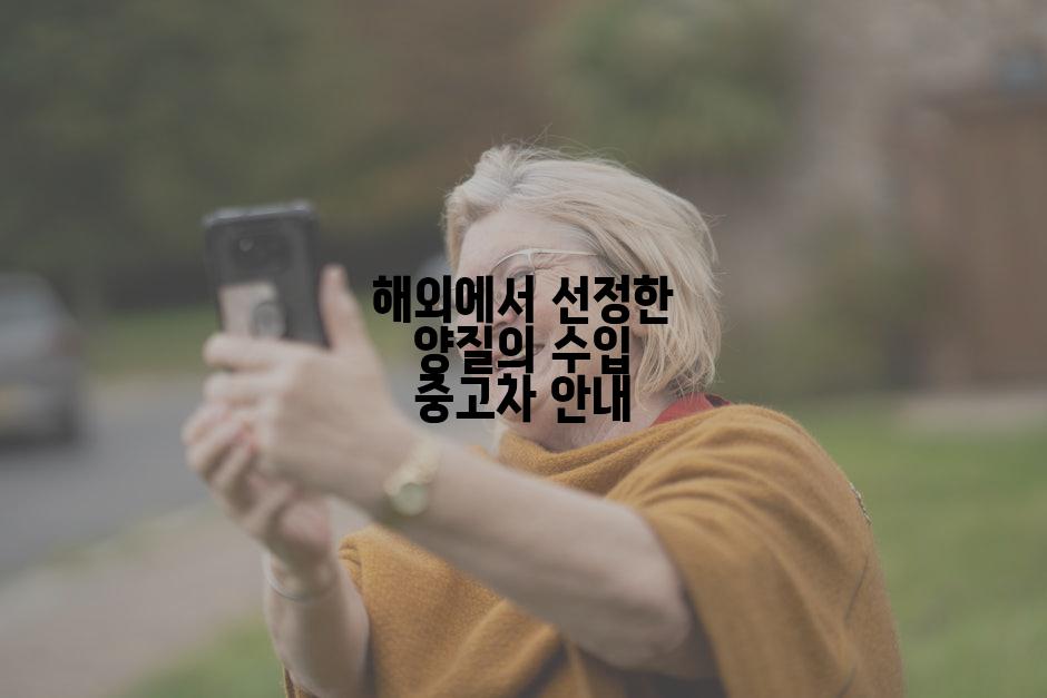 해외에서 선정한 양질의 수입 중고차 안내