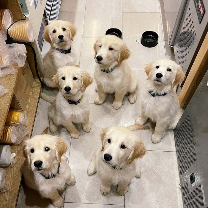 생생정보 틈새 알바 이거 어때