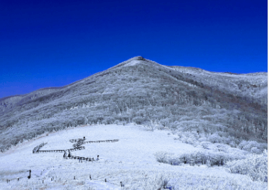 곰배령 정상 겨울 눈덮인 사진