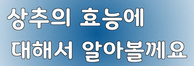 상추의 효능에 대해서 알아볼께요