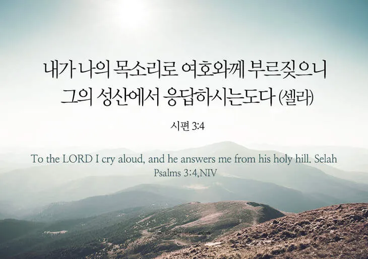 시편 37장 4절 묵상 - 또 여호와를 기뻐하라 그가 네 마음의 소원을 네게 이루어 주시리로다_6