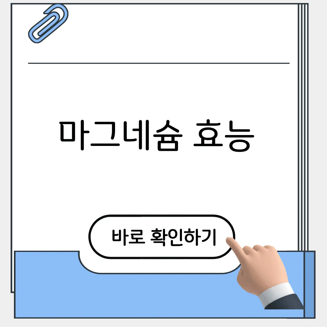마그네슘 효능