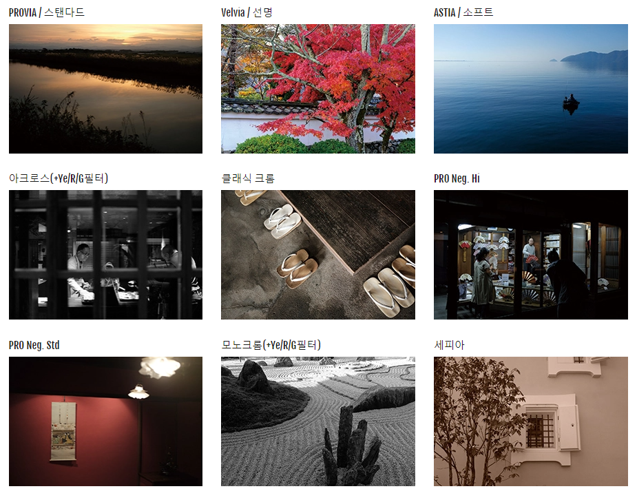 필름 시뮬레이션