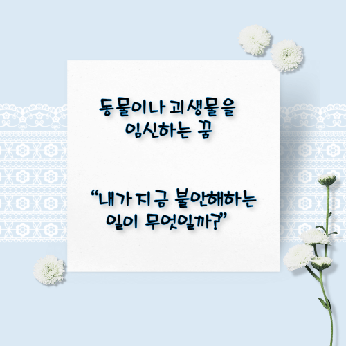 임신하는 꿈해몽