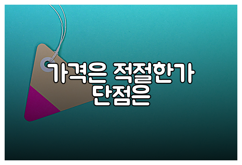 가격은 적절한가 단점은