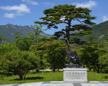 설악산 케이블카_2