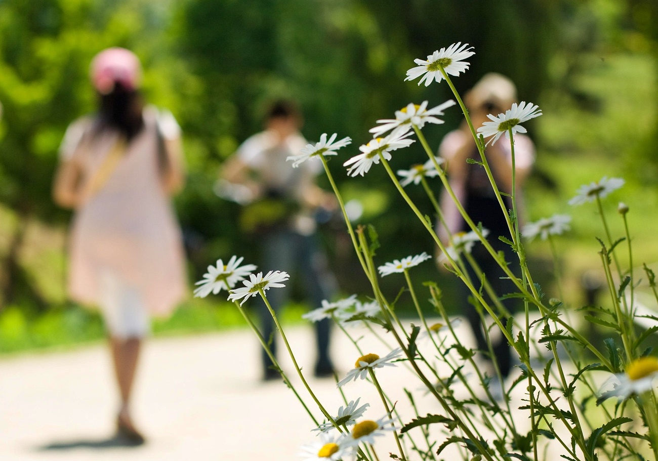 스트레스 살이 빠지기 시작하는 신호 5가지!